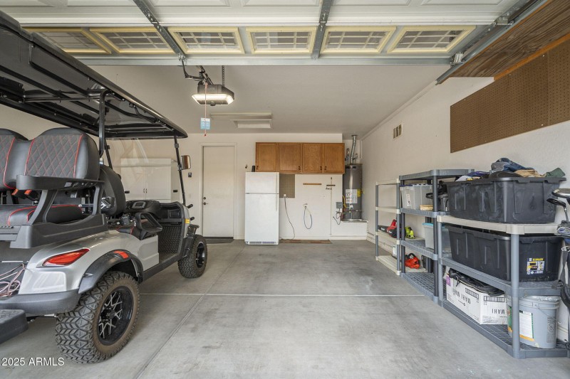 55-web-or-mls-Ficus-55