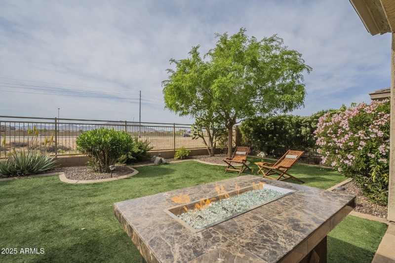 64-web-or-mls-Ficus-64