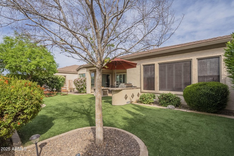 67-web-or-mls-Ficus-67