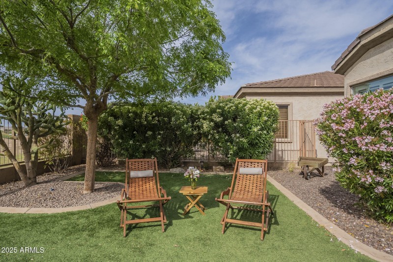 68-web-or-mls-Ficus-68