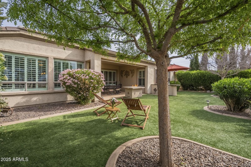 69-web-or-mls-Ficus-69