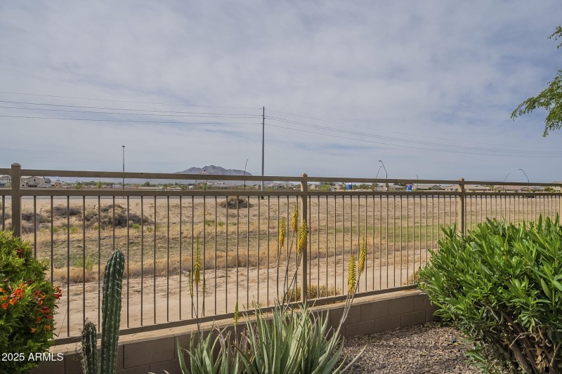 71-web-or-mls-Ficus-71