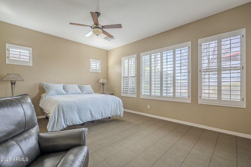 29-web-or-mls-Ficus-29