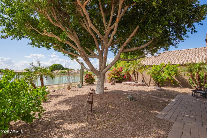 Large Backyard