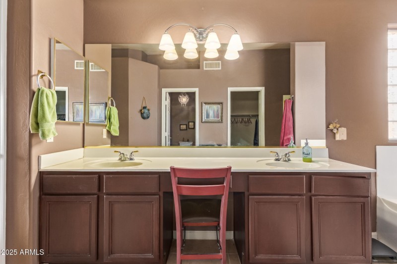 Primary Bath Vanity