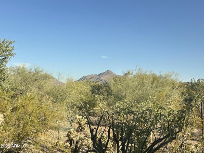 169 DC Ranch McDowell Mountain View