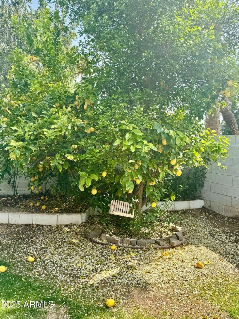 PHOTO-2025-04-05-08-29-22_3