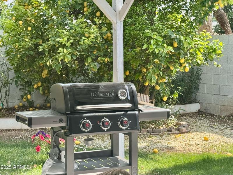 PHOTO-2025-04-05-08-29-23_4