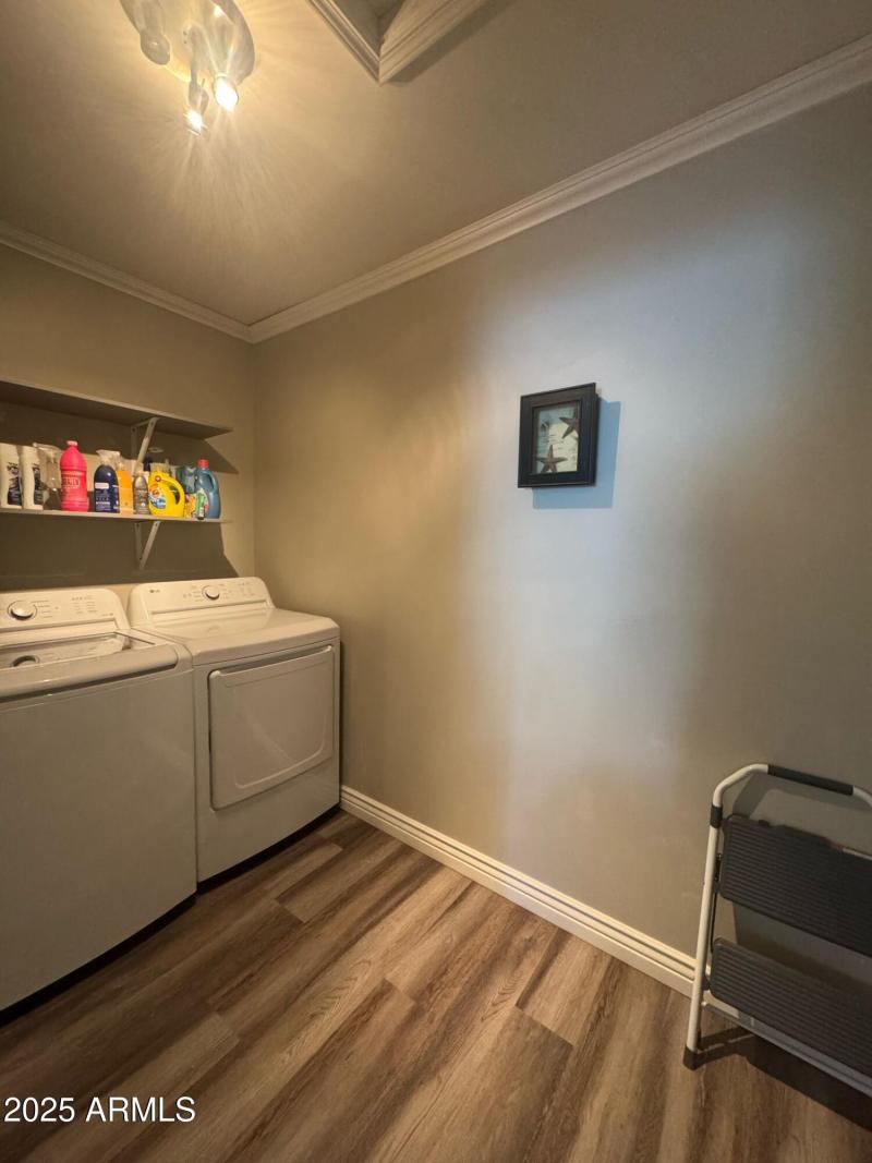 PHOTO-2025-04-05-08-29-27_5