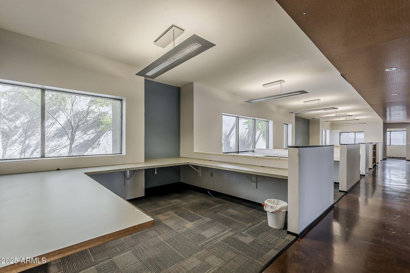 19-web-or-mls-7th-19