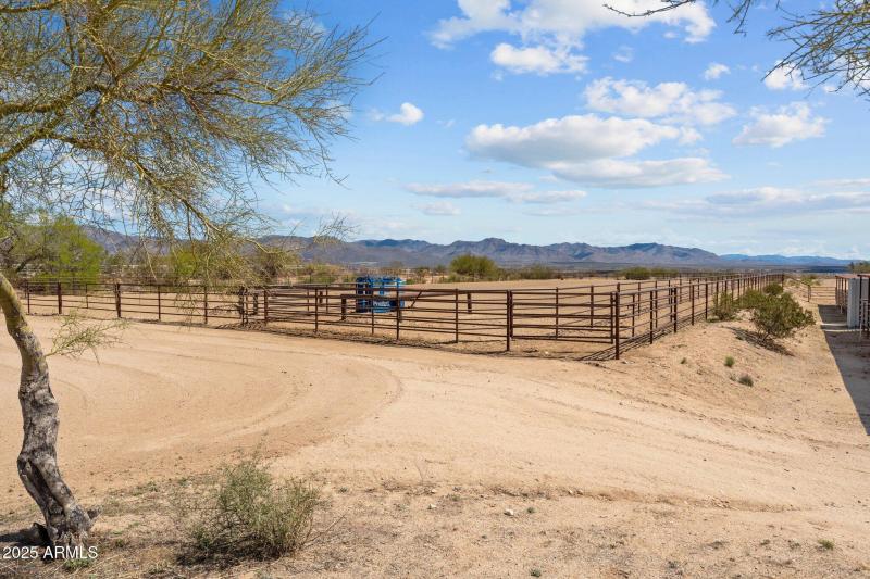 45-web-or-mls-DSC07108