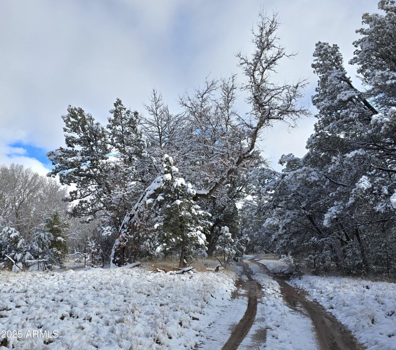Easement rd