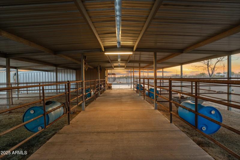 61-web-or-mls-DSC08393