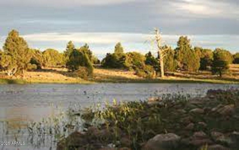kinnikinick lakebig