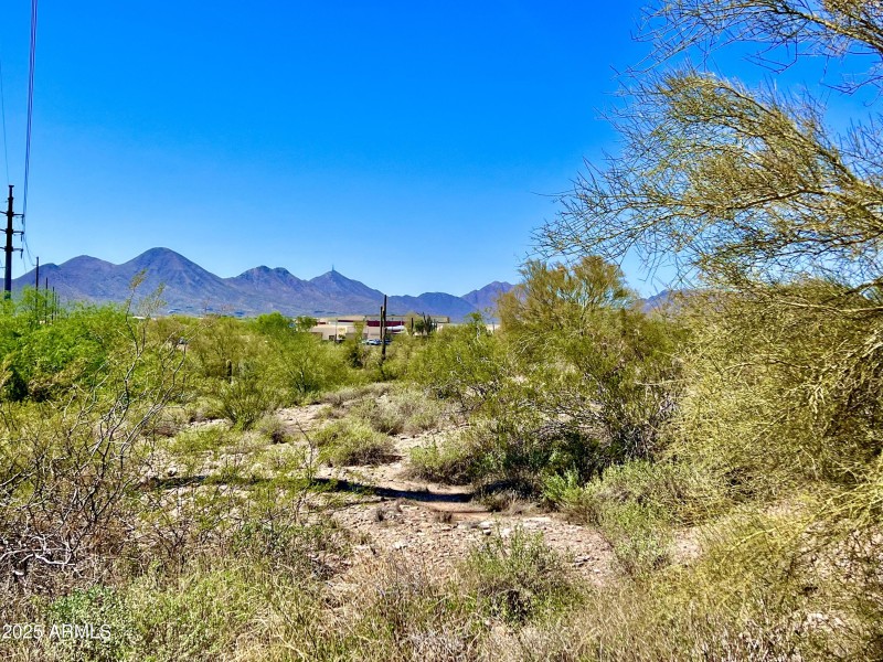 Del Ray Walking Trail 2