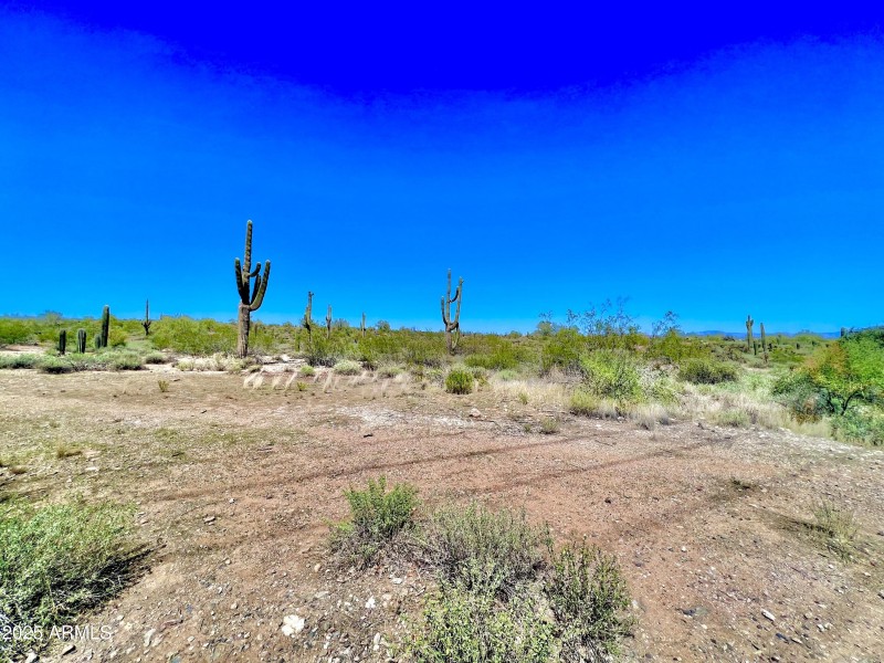 Del Ray Walking Trail