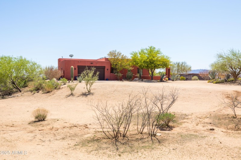 Natural Desert Vegetation