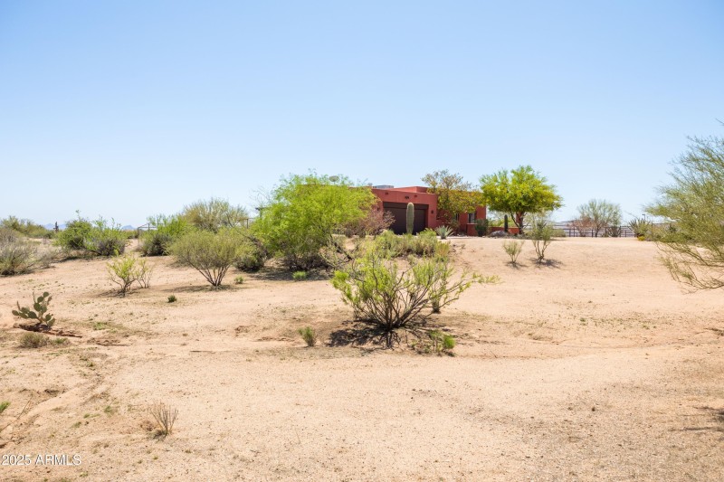 Natural Desert Vegetation