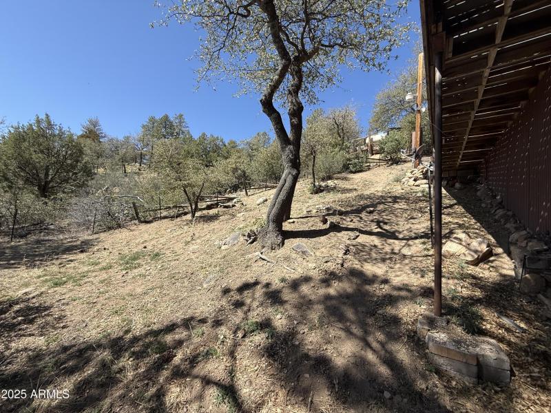 Fenced in animal area