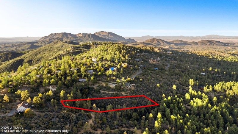 Aerial Lot Lines