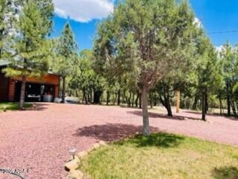 double circular drive