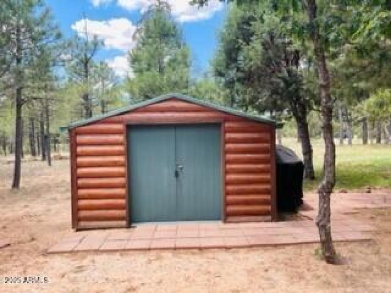 log sided shed