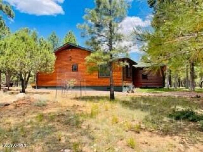 side grass area new trees