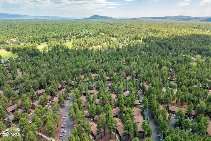 2860SportsVillageLoop-Pinetop-AZ-22