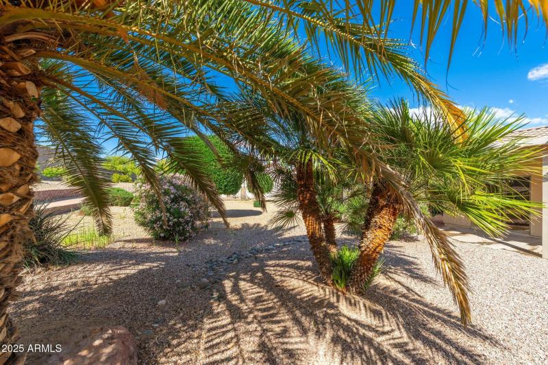 20828 N Shadow Mountain Dr - 26