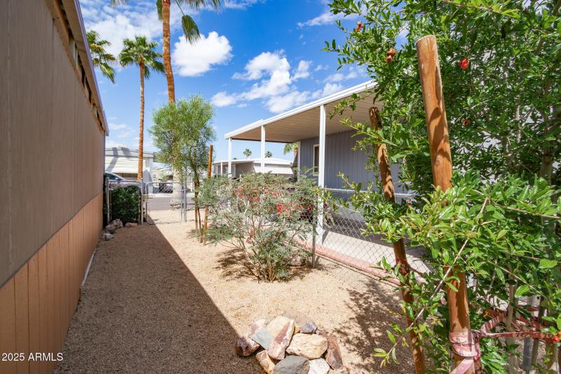 Side yard by Front Patio