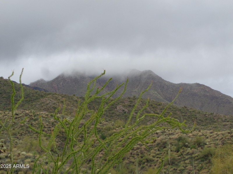 McDowell Mtns. in the mist