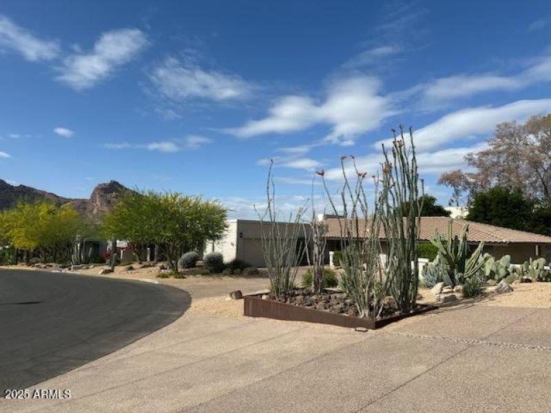 IMG_2207_1744994347906