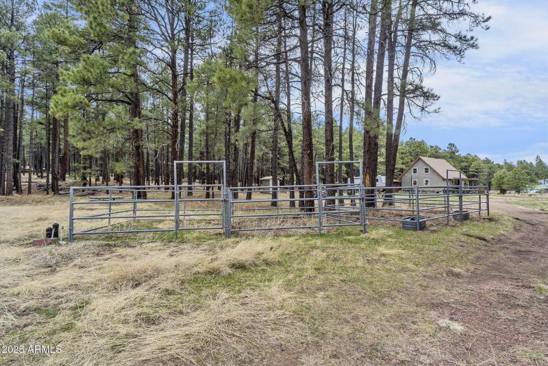 051_88-web-or-mls-forest-72_909