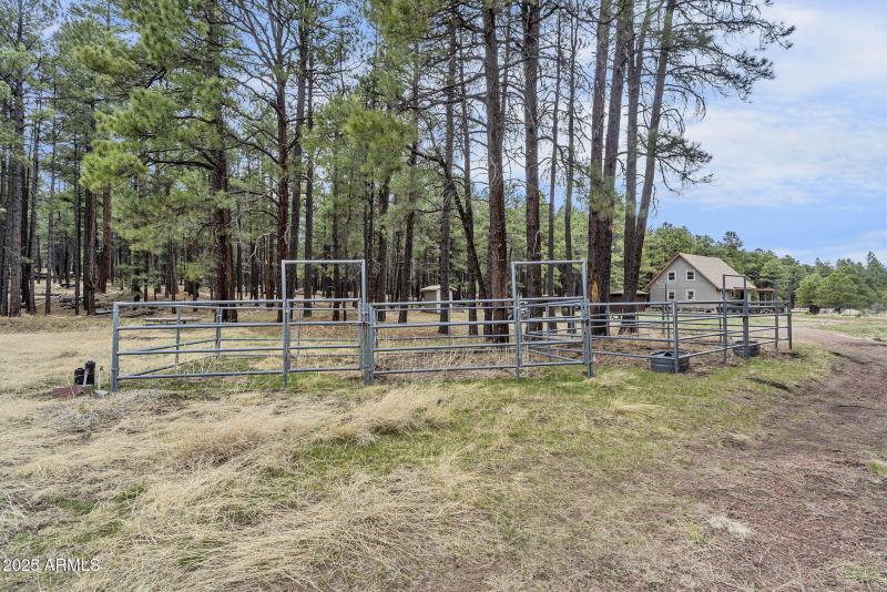 052_89-web-or-mls-forest-73_651