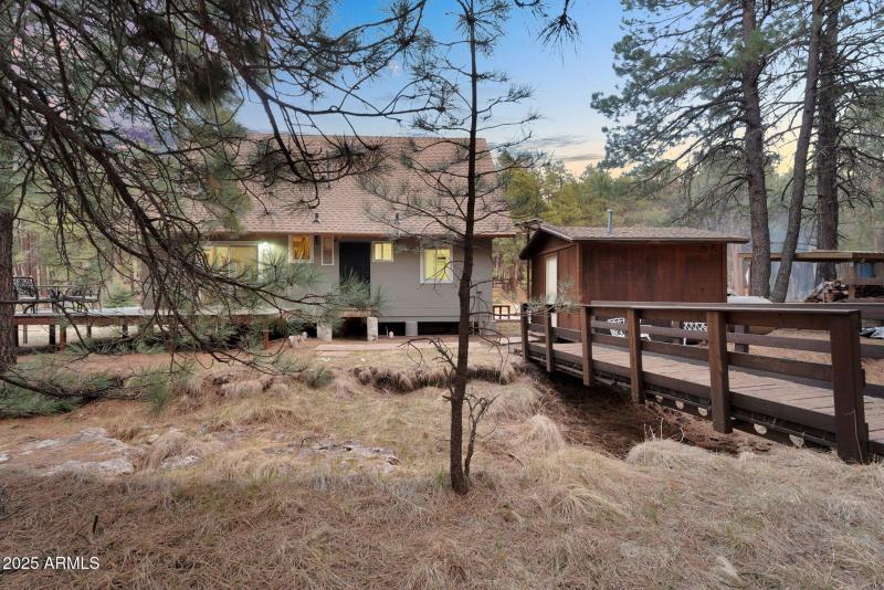 067_5-web-or-mls-forest_twilight-05_207