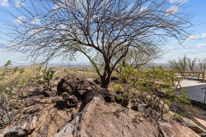 35-web-or-mls-DSC00899