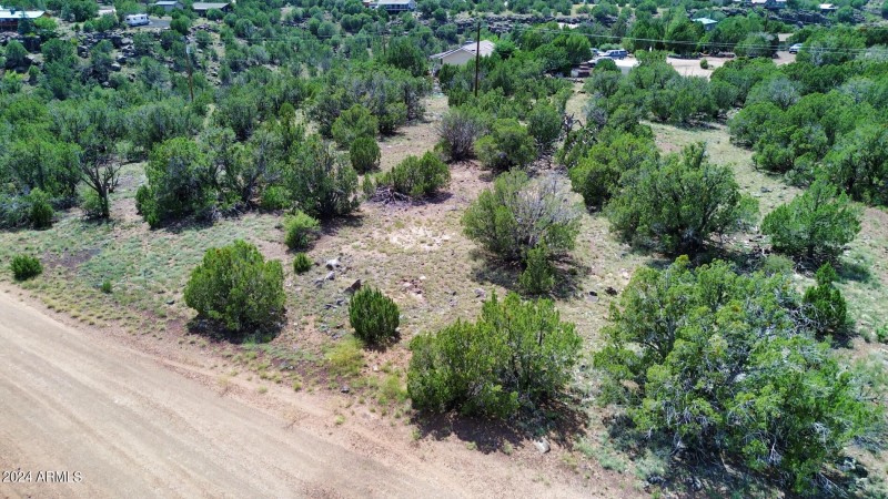espinosa-Aerial-4
