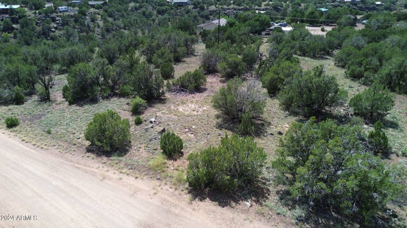 espinosa-Aerial-5