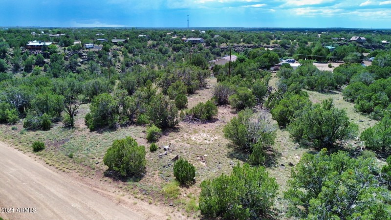 espinosa-Aerial-7
