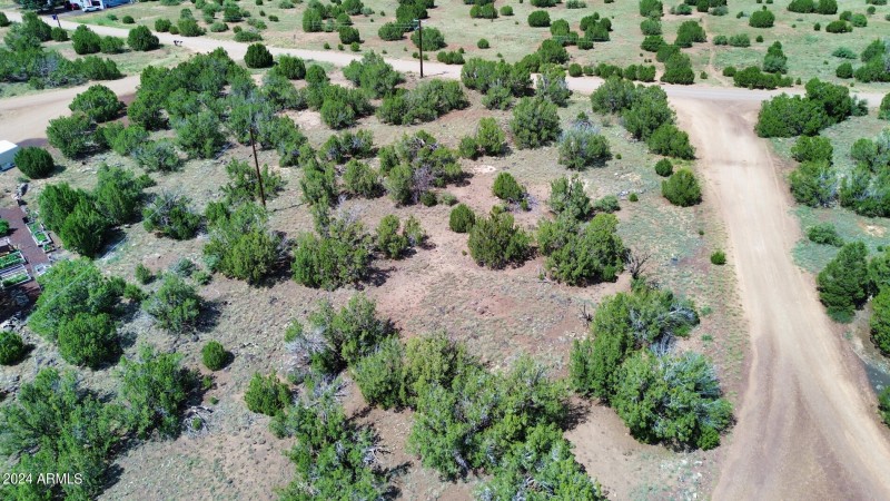 espinosa-Aerial-15