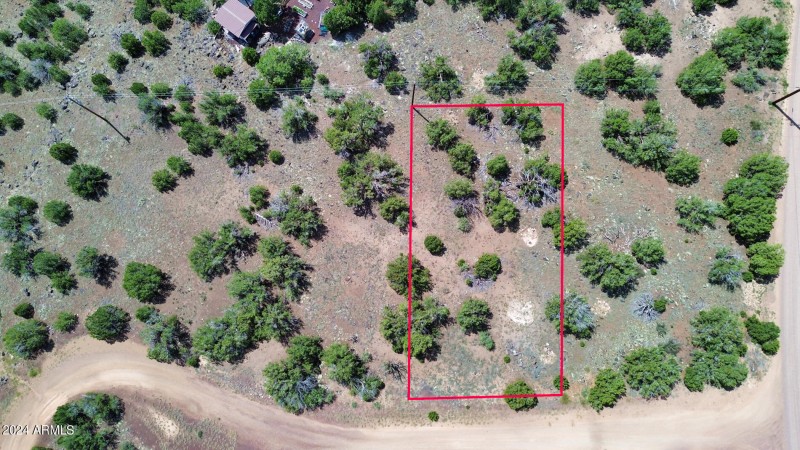 espinosa-Aerial-29