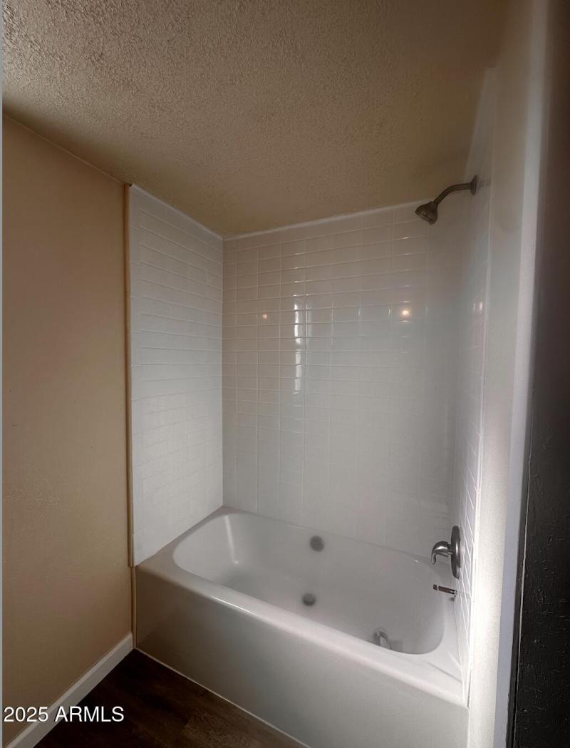 Screen Shot 2025-01-29 at 3.41.52 AM