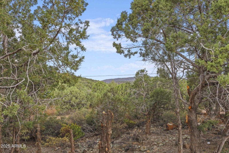 Views of Table Mountain