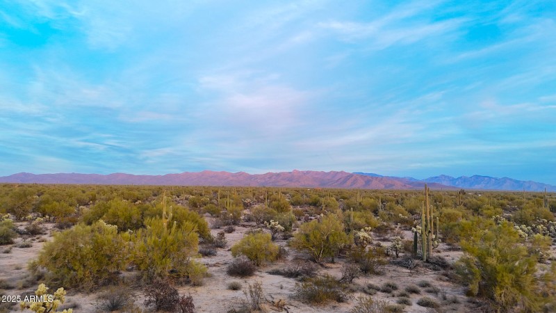 dji_fly_20250122_174526_0151_17377341247