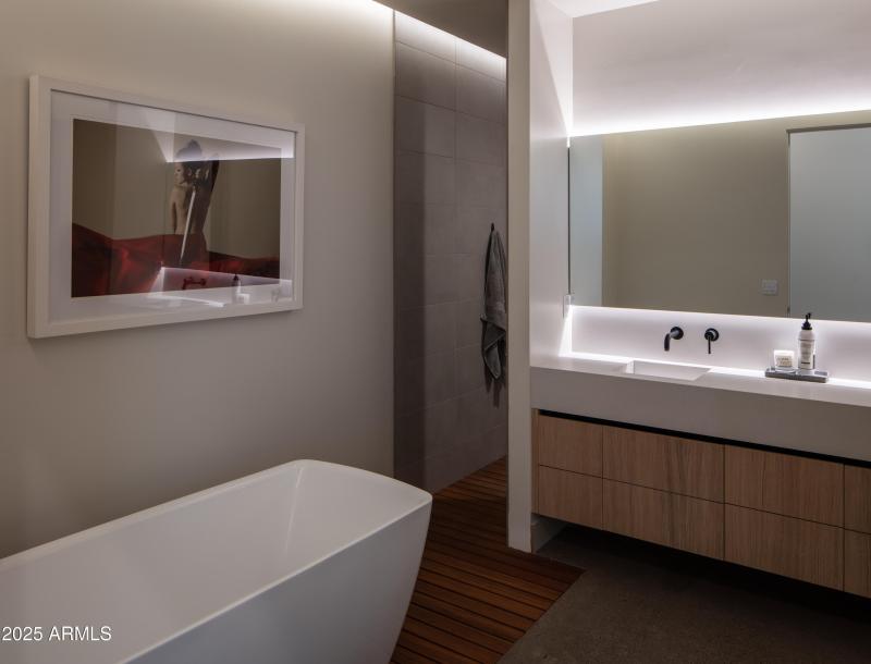 Primary Shower Entry