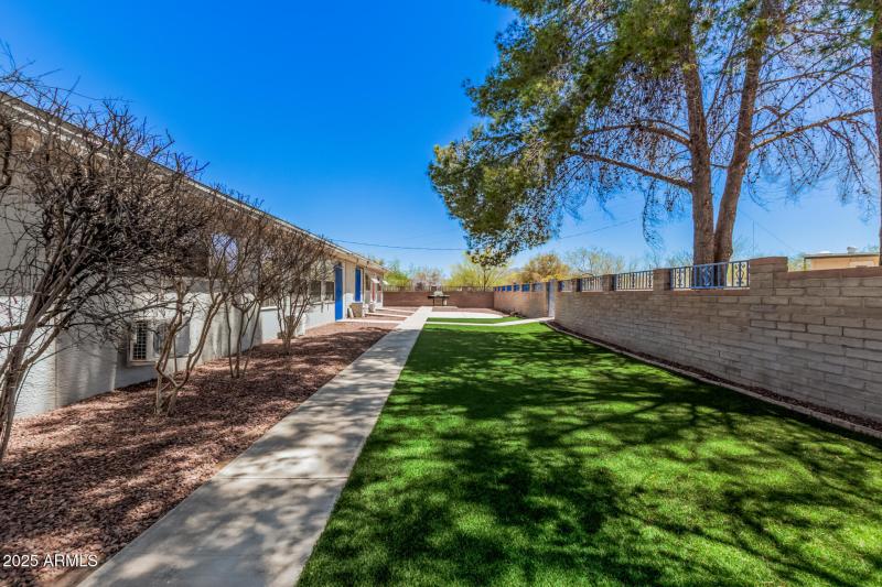 Shaded Turf Yard Retreat