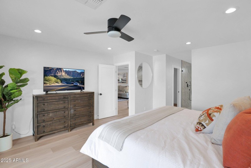 Ceiling Fans and Recessed