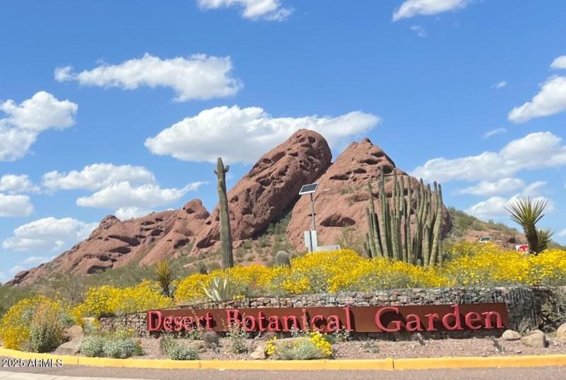 PHX Desert Botanical Museum