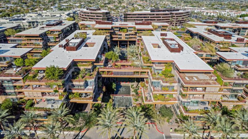 In the Heart of Downtown Scottsdale