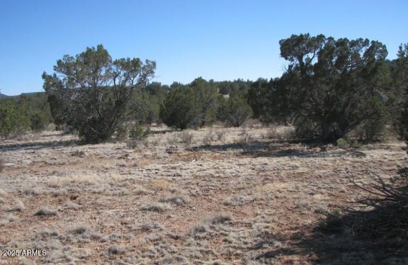 0460 landscape